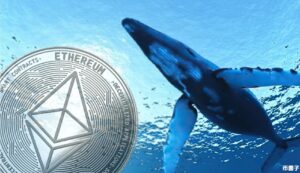 Ethereum : une baleine dépose sur un exchange 48 500 ETH acquis 0,31$ lors de l’ICO